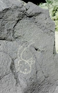 The Rio Grande petroglyphs