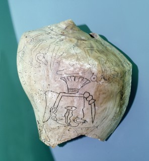 Conch shell incised with design of a head, possibly representing a shaman