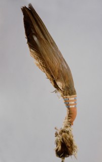 Eagle wing fan