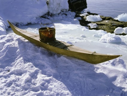 Kayak with a seal skin vest