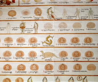 A detail of a medical thangka from a version of the commentary on the ancient Four Tantras, the fundamental treatise of Tibetan medicine