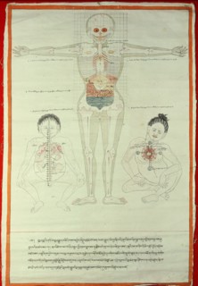 A medical thangka from a version of the commentary on the ancient Four Tantras, the fundamental treatise of Tibetan medicine