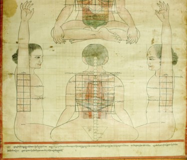 Detail of a medical thangka from a version of the commentary on the ancient Four Tantras, the fundamental treatise of Tibetan medicine