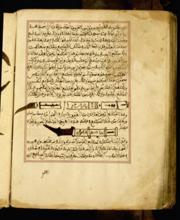 Detail from a medical manuscript by an unknown author