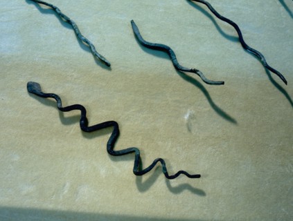 Small bronze snakes recovered from the Mount of Serpents, most likely a place of worship at al Qusais