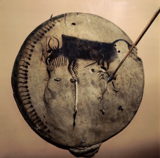 Shield painted with an image of a bison