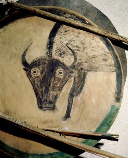 Shield cover painted with an image of a bison