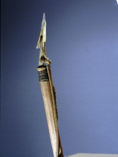 Walrus harpoon