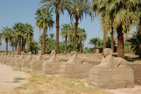 View of the Avenue of Sphinxes added to the temple by the pharaoh Nectanebo I to connect Luxor to Karnak