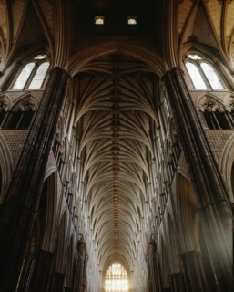 The richly ornamented Gothic vault of the nave towards the west