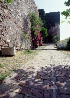 The Alcazaba or citadel of Malaga