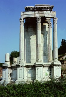 The Roman Forum
