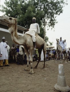 The market place at Sokoto, capital of one of the major Hausa-Fulani states on the edge of the Sahel, formerly a major entrepot for trans-Saharan trade and the kola nut trade with Ghana