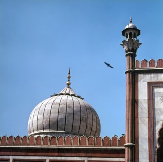 Delhi