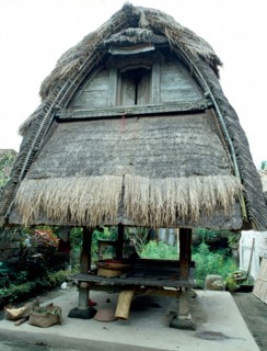 In many Balinese villages family rice bins are a major expression of status, often second only to the ancestor temples