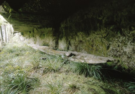 Kaingaroa caves
