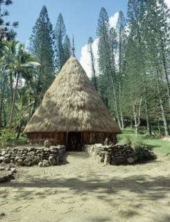 A circle of tall trees surrounds a meeting house on New Caledonia