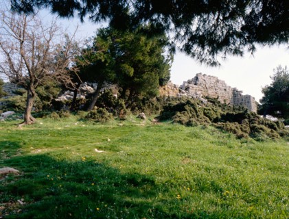 Eleutherai