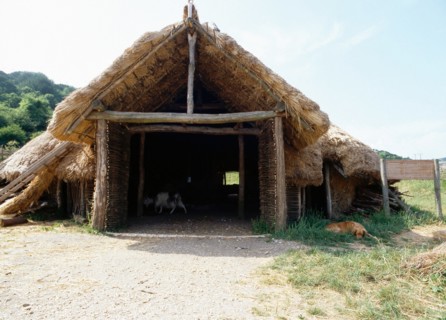 The experimental farm of Little Butser in Hampshire