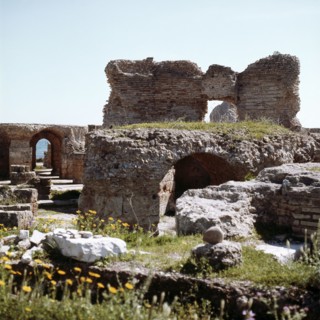 Ruins of Roman Carthage