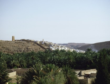 One of the oases of the Mzab valley