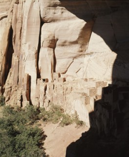 Betatakin a cliff dwelling with 135 rooms