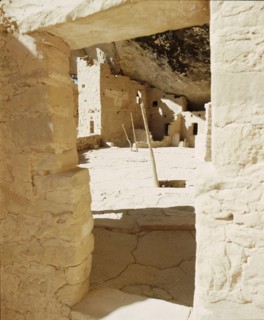 The Cliff Palace at Mesa Verde