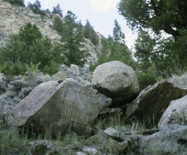 Rock engraving at Wind River Basin, Wyoming