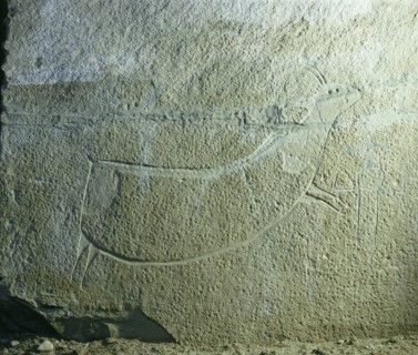 Rock engraving depicting an animal