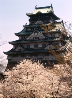 Osaka castle