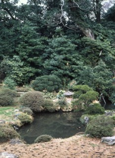 The garden of Kencho-ji, one of the most important and authentic gardens in Kamakura