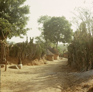 A Miango village near Jos