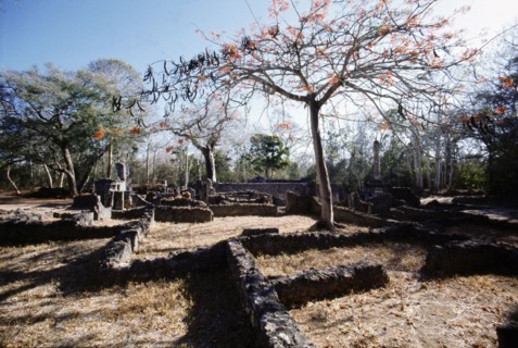 The ruins of Gedi, an important East African city and centre of the slave trade between c