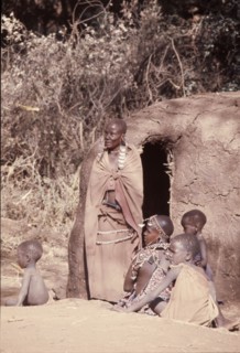 The elaborate beadwork of this Masai woman indicates her ethnic identity, social status, and the number and status of her children