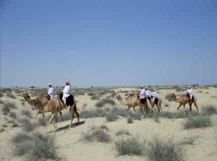 A party of Bedouin returns home from a day spent in the desert