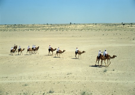 A party of Bedouin returns home from a day spent in the desert