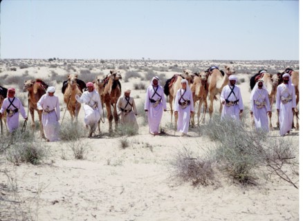 A party of Bedouin leading their camels in the desert