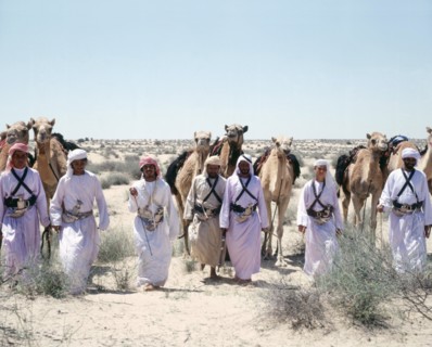 A party of Bedouin leading their camels in the desert