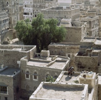 A rooftop view of San'a