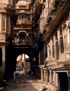 Jaisalmer, a town which for centuries commanded a strategic position on the camel train route from central Asia to India