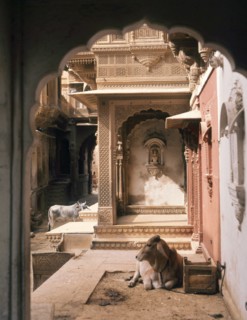 Jaisalmer, a town which for centuries commanded a strategic position on the camel train route from central Asia to India