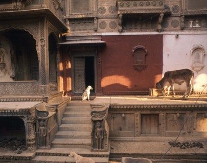 Jaisalmer, a town which for centuries commanded a strategic position on the camel train route from central Asia to India