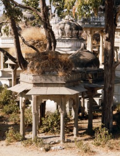 Jaisalmer, a town which for centuries commanded a strategic position on the camel train route from central Asia to India