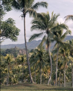 Borobudur