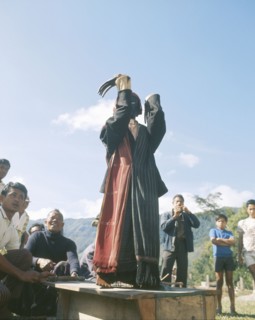 A performance of a life-sized puppet known as Si gale gale