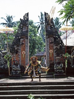 Each Balinese community stages regular performances in which Barong, a mythical lion, fights the dreaded Rangda, Queen of witches