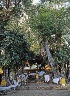 Pura Ulun Siwi during the Galungan festival