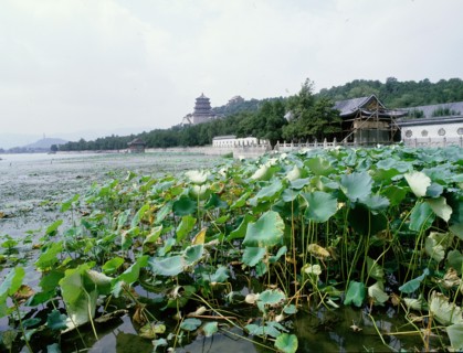 Beijing