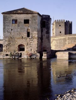 The River Guadalquivir, bridge and watermills at Cordoba