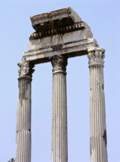 The Roman Forum